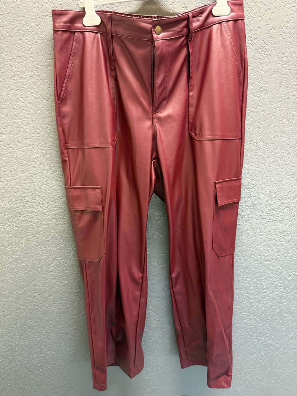 wild fable maroon/burgundy Faux Leather Cargo Pants